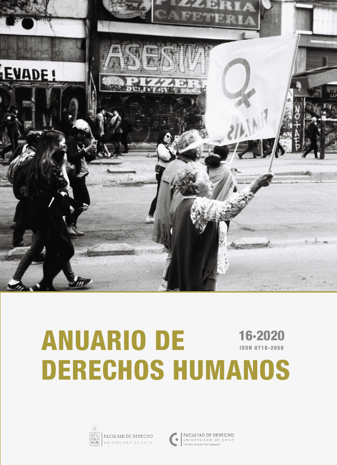 												Visualizar v. 16 n. 2 (2020): Anuario Derechos Humanos
											